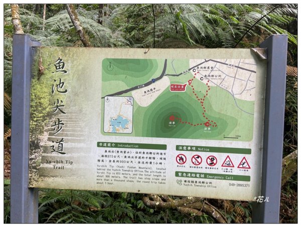 魚池尖山 (魚池富山) 中入右出2828925