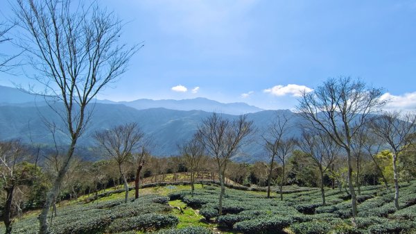 守城大山/守關山/守關山南峰1624732