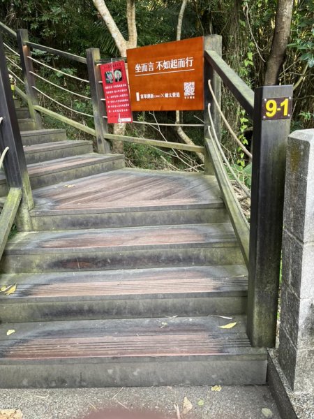 大坑9-1號步道2732231