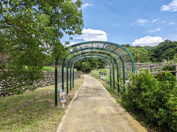 [皮皮獅動物派對-01/10] 2026_0815 寶山迴龍步道、環湖步道3112347