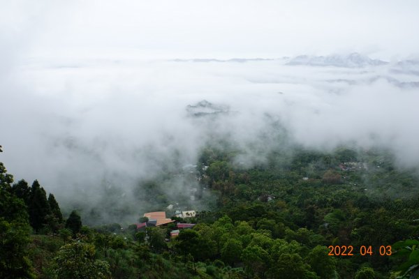 臺南 楠西 竹子尖山1664817