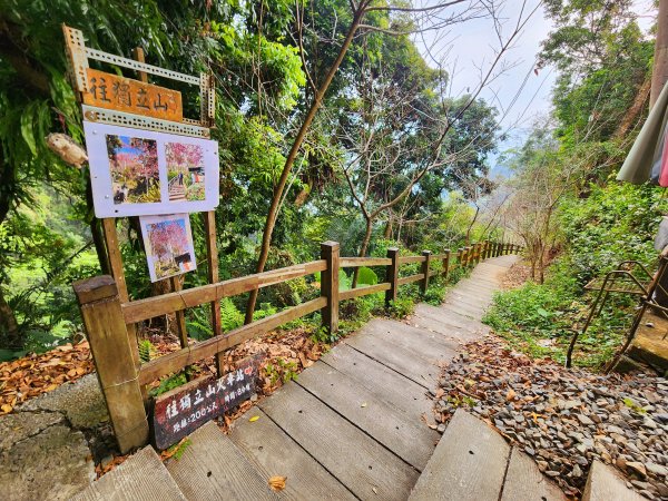 小百岳集起來-獨立山2182959