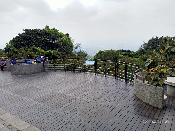 【發現陽明山】頂北投→陽峰古道→陽明山花鐘→陽明書屋→紫明溪步道→竹子湖海芋季2463814