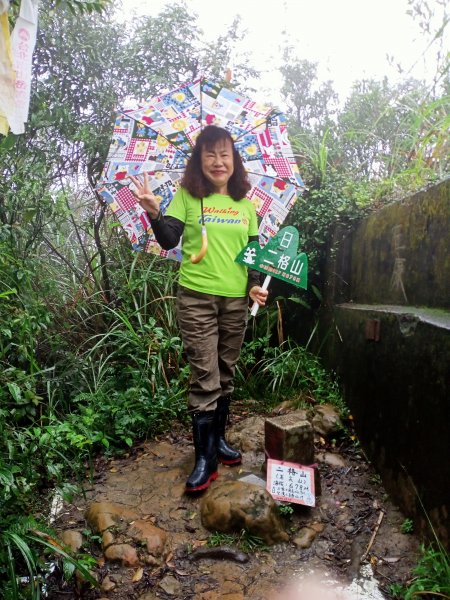 【小百岳集起來】#017 二格山芒花搖曳1191587