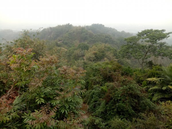 龍過脈步道+小百岳橫山1867010