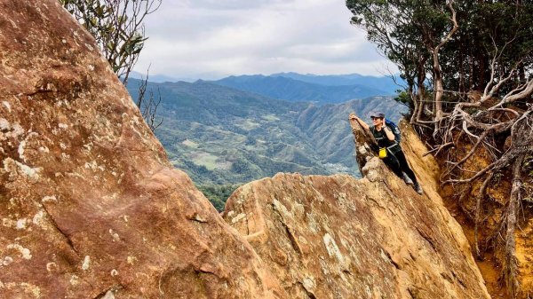 🌈12/28（日）北得拉曼神木+內鳥嘴山✨FB：熊熊趴爬走🌈2971297