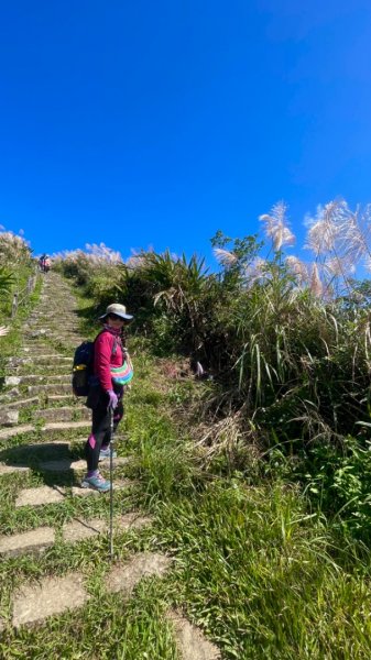 基隆山賞芒趣-山尖步道-百年三層橋-摸乳巷2335476