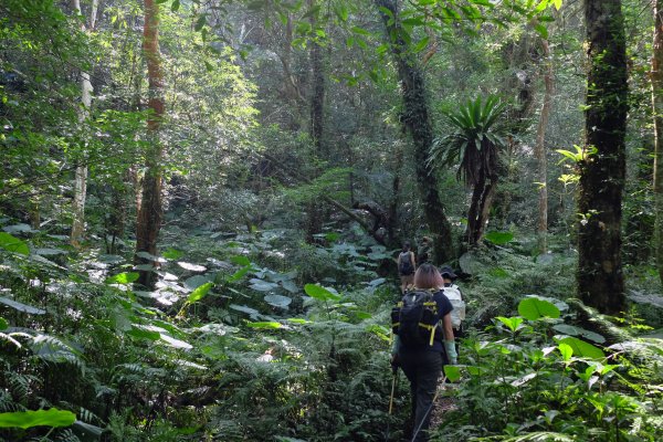 新竹尖石鄉 煤源社區上李棟山、大混山出凌空廊道2550497