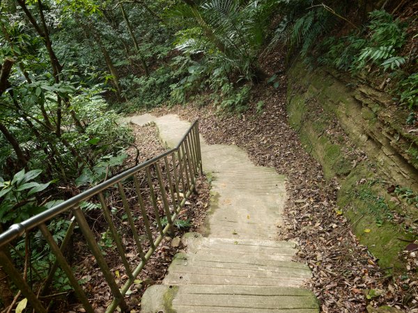 [淡蘭古道] 2026_0523 南路第一段_糶米古道3069475