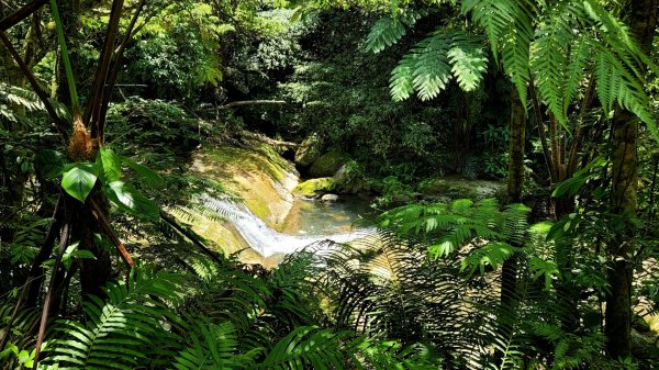 石硿子瀑布，石硿子古道，灰窯瀑布，錦峰山，四股埤，瑪礁古道，大崎頭步道1759771