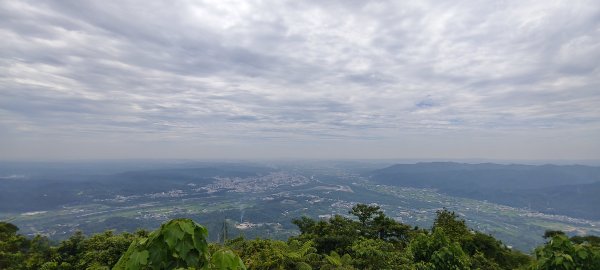 2026/05/24_大崎棟古道O型3066863