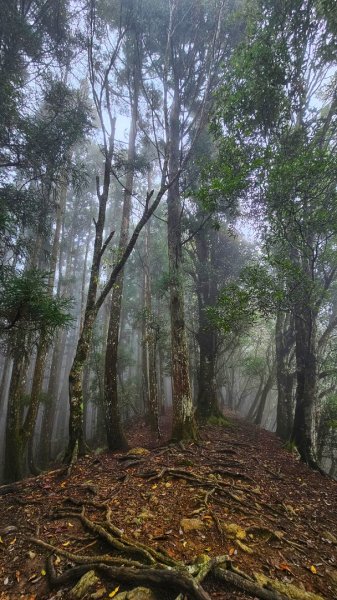 112.04.08 油羅山2123582