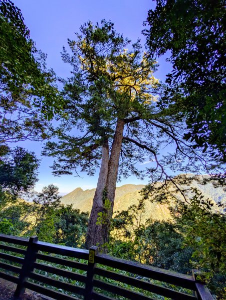 孕婦第一次的谷關七雄馬崙山2991619