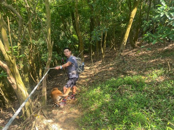 月光山.雙峰山.克孝峰【進可攻 退可守的完美路線】2740722