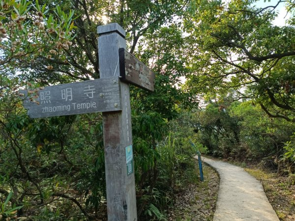 百大：軍艦岩、丹鳳山親山步道1782375