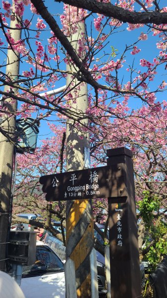 2025-0130溪和宮-大崎頭步道-鵝尾山-平溪步道-鵝尾山水田-42巷-溪山百年古圳-平菁步道2701958