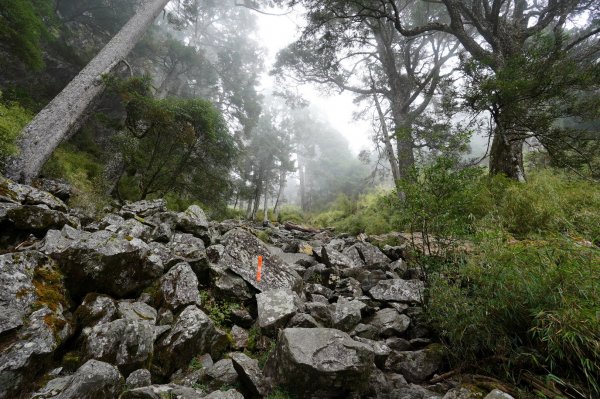 南投 信義 玉山前峰2352075