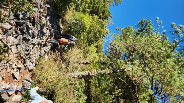 【中級山縱走】羅馬縱走，走進神木的夢幻童話森林世界2943183