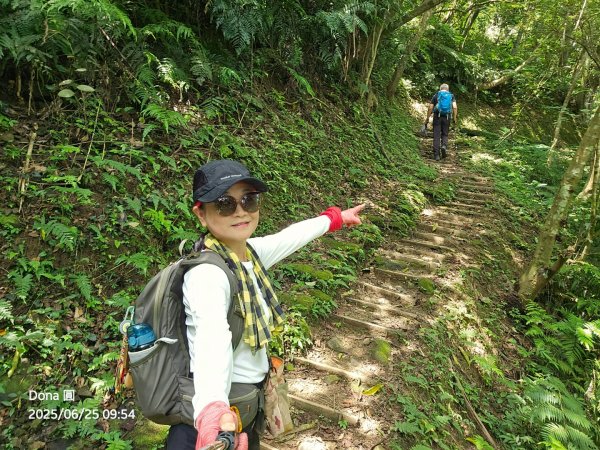 大溪大九芎步道上小百岳溪洲山(H577m)2844299