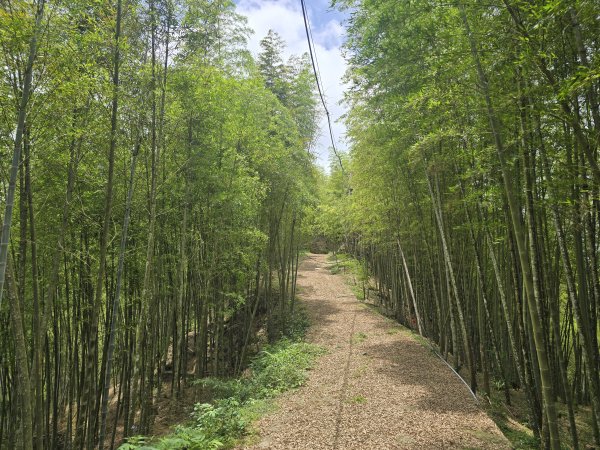 20260516 小百岳-南投集集大山3056235
