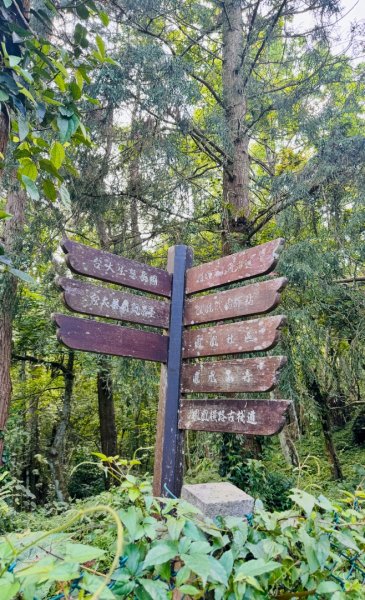 鳳凰谷步道走凍頂麒麟山2772746