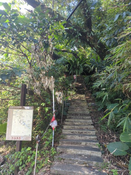 2026.07.18－汐止大尖山3087983