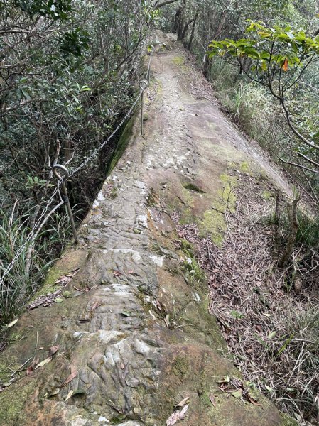 微笑山線/五分山系3013332