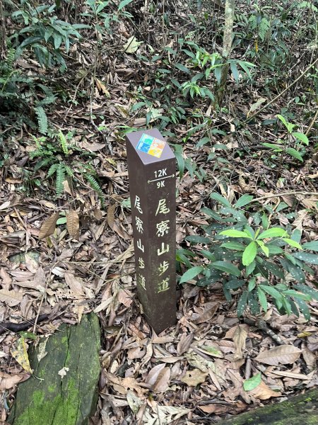 [屏步青雲 尋寶任務-02/10] 2024_0916 尾寮山登山步道2597402
