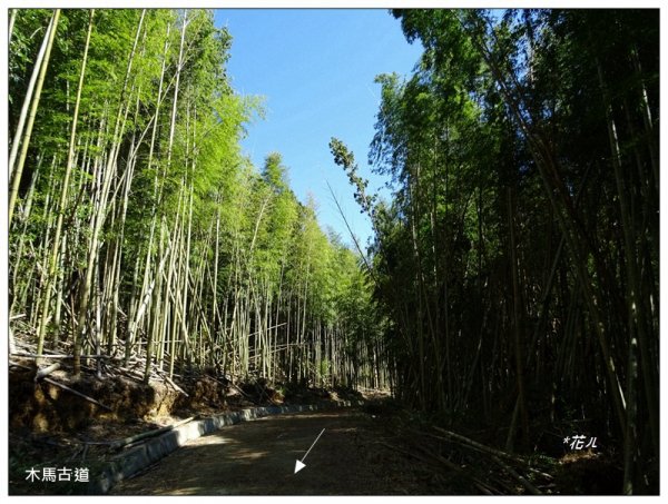 五元二角、番子田山、雲嶺之丘1530762