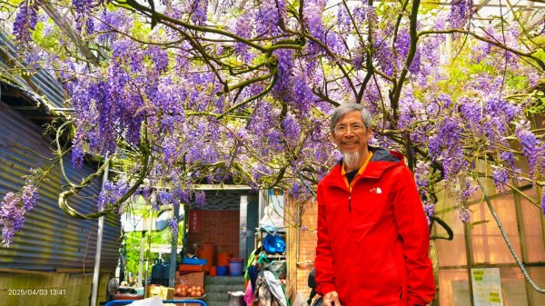 追花是簡單的快樂，賞花是恬淡的幸褔 4/32751446