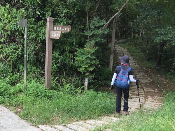 飛鳳山觀日坪連走中坑山388314