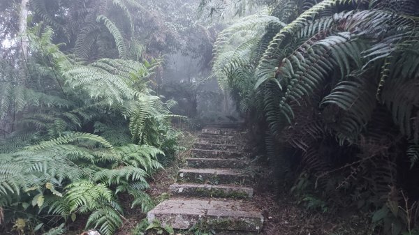 水社大山水社主峰新年二部曲1598800