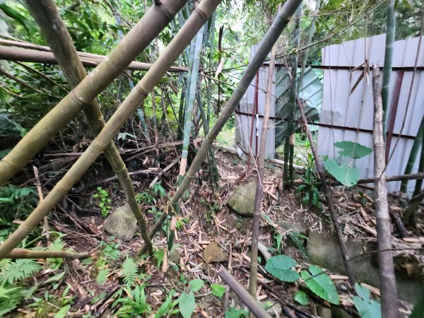 20241215富浪波山鹹菜棚街與打牛崎步道2691600