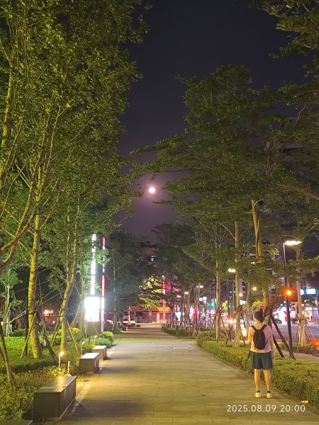 大稻埕 - 迪化街、大港墘公園【臺北健走趣】2855340