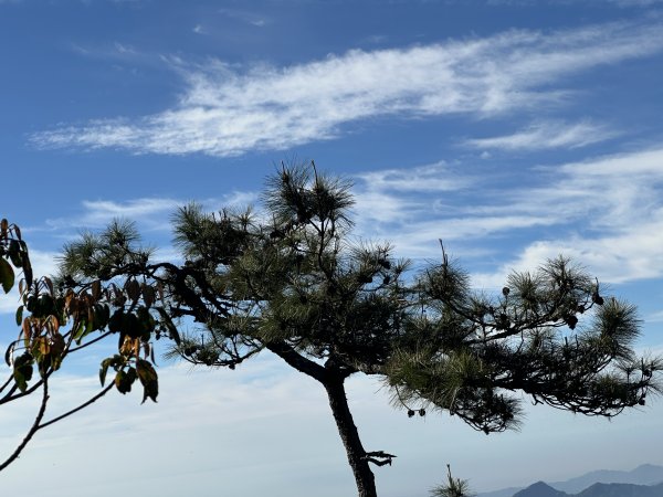 「臺灣小阿爾卑斯」鳶嘴山2985299