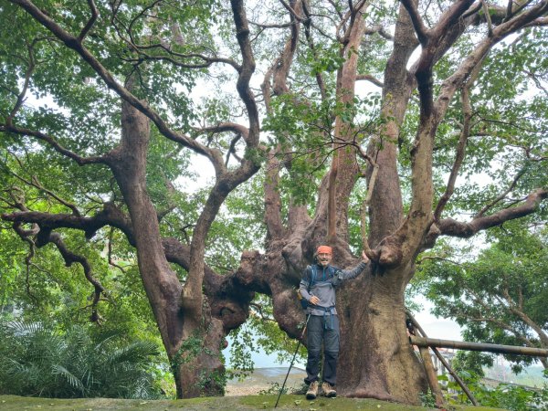 20251225恆春縱走赤牛嶺 大山母山 小尖石2969880