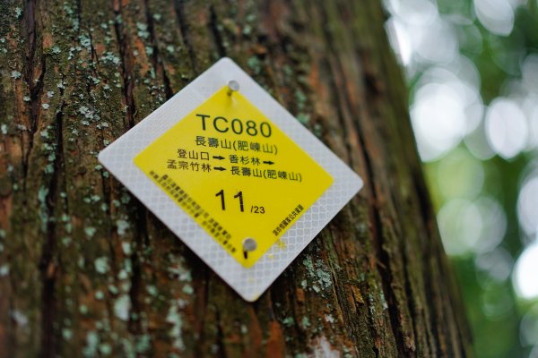 帶媽媽爬長壽山2669505