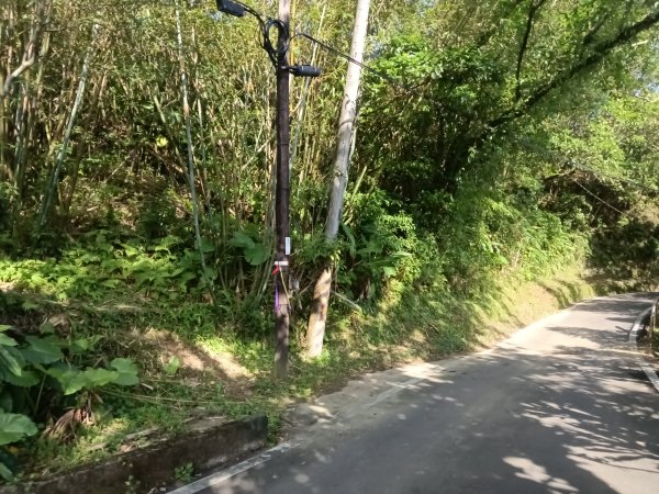 雙溪區東內平林山+上平林山+平林山去回2952463