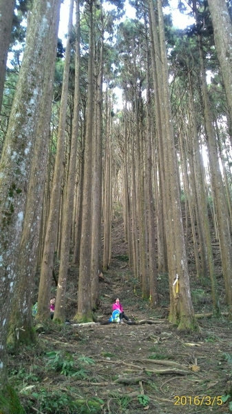 20160305新竹五峰大窩山,比林山31712