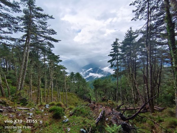 20220625台東海端向陽山、向陽山北峰、三叉山、嘉明湖1745460