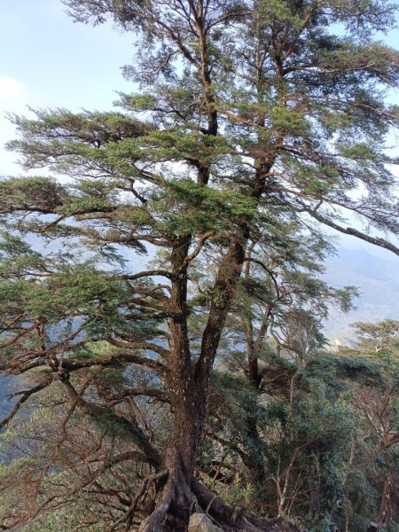 北得拉曼山連走內鳥嘴山1672880