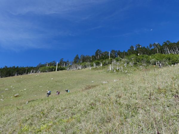 雪主東下翠池山屋155483