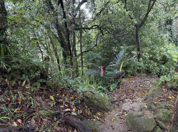 [微笑山線_第三段] 2026_0328 鳶山山系_鳶山彩壁3025679