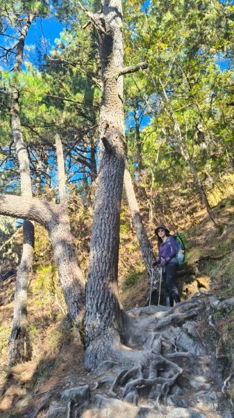 玉山後四峰20251216~192967037