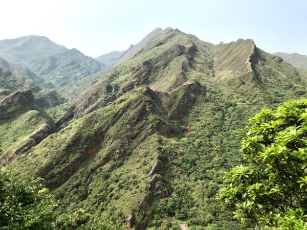 龍脊上的舞者：劍龍稜走茶壺山1325055