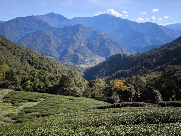 2025-12-21 武界山、獅凸魯山、橫屏山、橫屏山西峰2969751