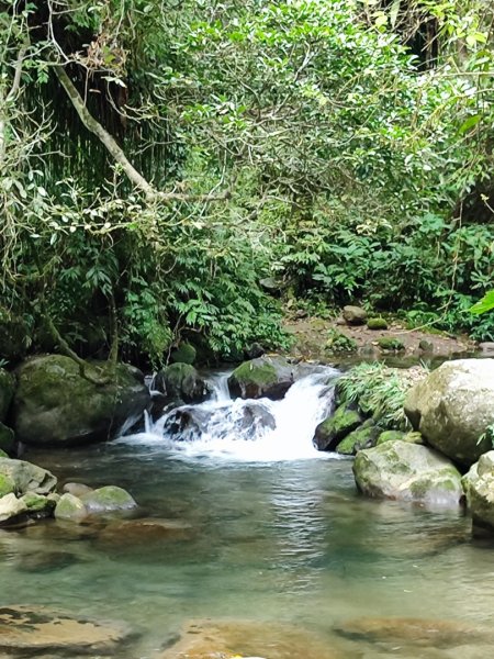 馬胎南坪古道2764747