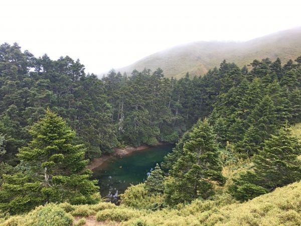 雲霧中賞合歡北峰杜鵑順訪台灣池345021