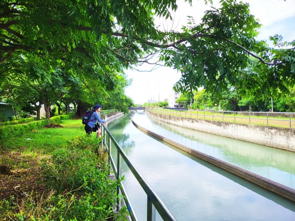 【台灣朝聖之路】山海圳大圳之路1769971