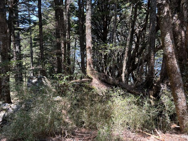 25/04/11羊頭山單攻2760066